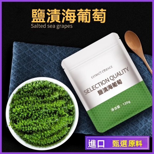 即食鹽漬海葡萄